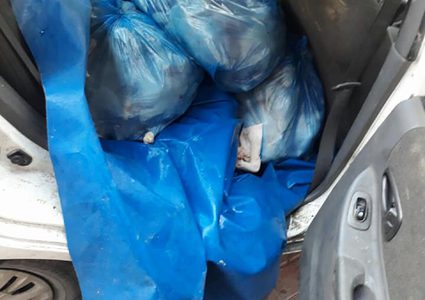 ضبط وإتلاف 130 كغم دجاج غير صالح للاستهلاك الآدمي