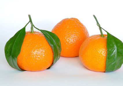 فوائد رائعة لليوسفي على الصحة تعرفوا عليها