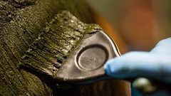 المدة اللازمة لوضع الحناء على الشعر