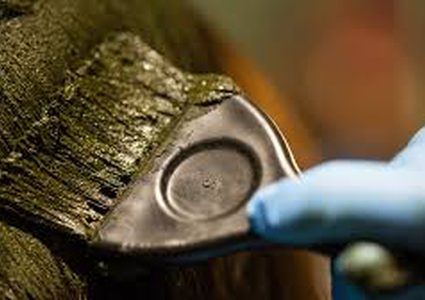 المدة اللازمة لوضع الحناء على الشعر