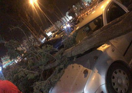 أضرار نتيجة الرياح في جنين وتلبية 550 نداء إغاثة في الخليل