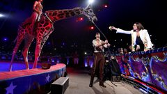 افتتاح مهرجان السيرك العالمي في مونتي كارلو