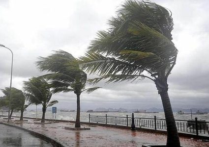 الرياح تقطع الكهرباء وتسقط لوحات إرشادية وأعلامًا بمطار القاهرة