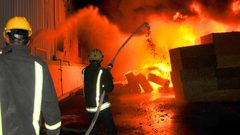 نفوق 3000 دجاجة نتيجة حريق في مزرعة بطولكرم