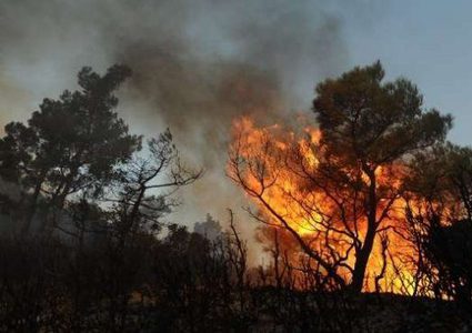 إنقاذ 200 شخص في حرائق غابات سيدني