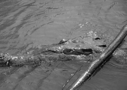 الشرطة الروسية في مواجهة غير متوقعة