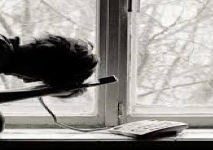 مراهق يتوسل من أجل العثور على عمل والبقاء في منزله