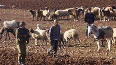 بقوة السلاح.. مستوطن يطرد رعاة الأغوار من منطقة الفارسية