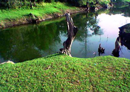 أساطير غابة رغدان بالسعودية