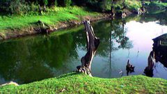 أساطير غابة رغدان بالسعودية