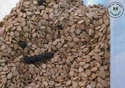 ضبط واتلاف 460 كغم مواد غذائية منتهية الصلاحية