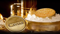 أطعمة.. للأغنياء فقط