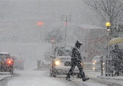 بالفيديو: هل فلسطين على موعد مع الزائر الأبيض؟