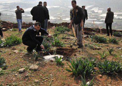 بيت لحم: تشكيل لجنة لمساعدة أصحاب الأراضي المهددة بالمصادرة