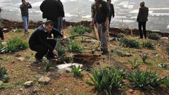 بيت لحم: تشكيل لجنة لمساعدة أصحاب الأراضي المهددة بالمصادرة