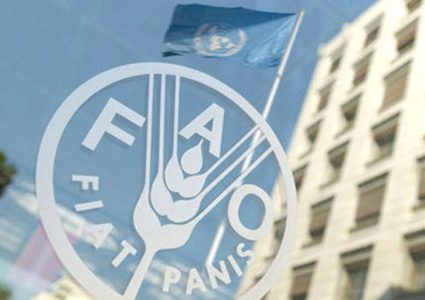 "الفاو" تفتح برنامج منح الدراسات العليا في الزراعة لطلبة دول عدة منها فلسطين