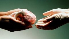 أسرار 200 ألف متبرع بالأعضاء "إلى العلن"