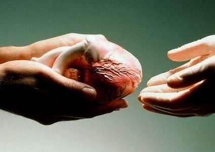 أسرار 200 ألف متبرع بالأعضاء "إلى العلن"