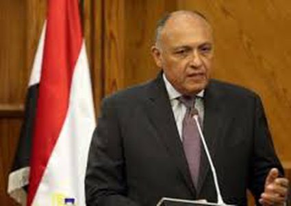 شكري لتيلرسون: العملية العسكرية التركية في سوريا تهدد الحل السياسي هناك