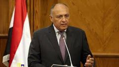 شكري لتيلرسون: العملية العسكرية التركية في سوريا تهدد الحل السياسي هناك