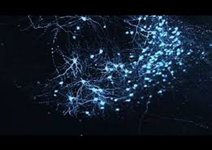 معلومات عن كيفية تشكل الخبرات الجيدة والسيئة في الدماغ