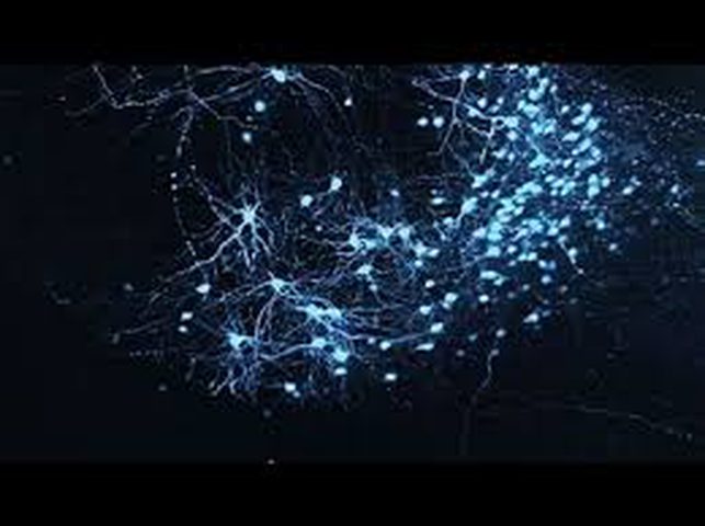 معلومات عن كيفية تشكل الخبرات الجيدة والسيئة في الدماغ