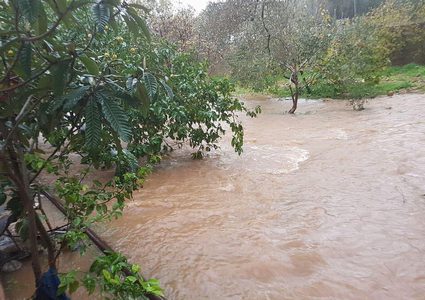 أمطار غزيرة تغرق طرقًا وأحياء بجنين وطولكرم