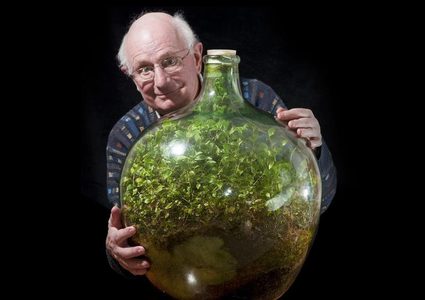 تجربة مذهلة.. حديقة في وعاء زجاجي مغلق لم ترو منذ 46 عاماً