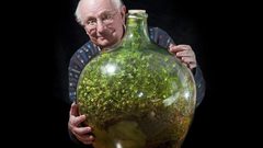 تجربة مذهلة.. حديقة في وعاء زجاجي مغلق لم ترو منذ 46 عاماً