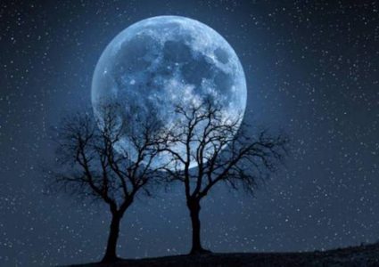 ظاهرة شهدها العالم عام 1866... ستعود نهاية الشهر