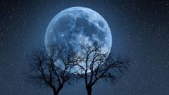 ظاهرة شهدها العالم عام 1866... ستعود نهاية الشهر