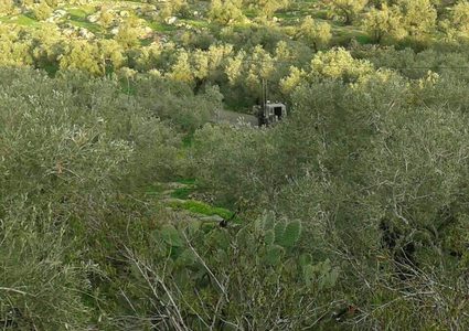 الاحتلال يصور مكان زرع العبوات التي عثر عليها..وهذه هي التفاصيل
