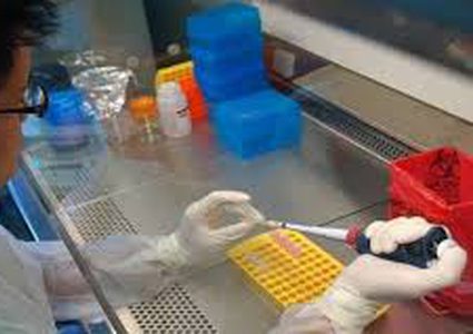 ما الذي يربط عمر الخلايا بالتلوث؟