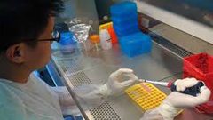 ما الذي يربط عمر الخلايا بالتلوث؟