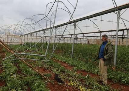 هاجس يكّبد مزارعي طمون خسائر فادحة(بالفيديو)