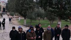 مستوطنون يقتحمون الأقصى