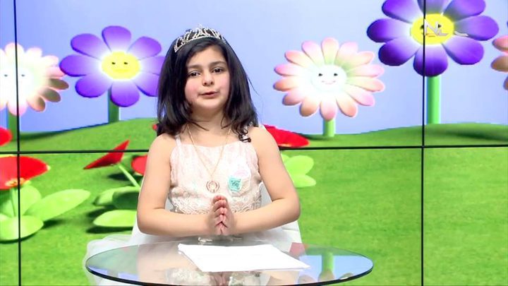 برامج فضائية النجاح تجذب وسائل الإعلام