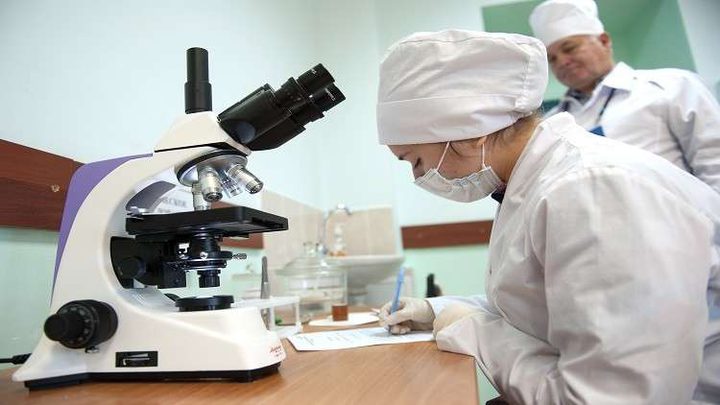 السكر ضار لعمل الدماغ