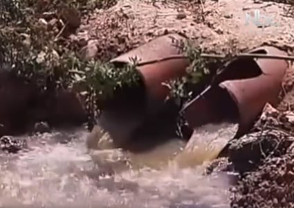 بالفيديو.. تدفق مجاري المستوطنات يدمر النظام البيئي