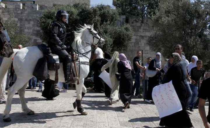 الشيخ ادعيس: الصمت على اعتداءات الاحتلال بالقدس يشجع على تكرارها