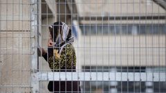اعتقال والدة شهيد وطفلتها في القدس