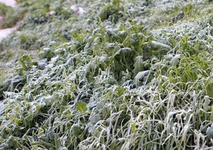 رحلة الشتاء بين الحكايات والمعاناة