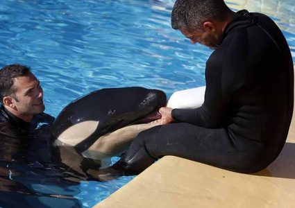 لأول مرة.. حوت يتكلم لغة البشر