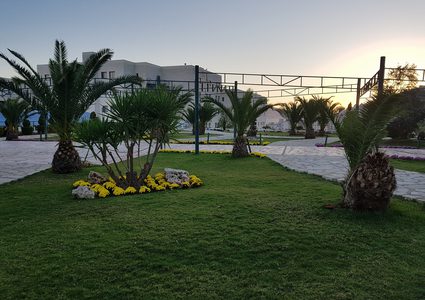 حالة الطقس: توالي ارتفاع درجات الحرارة