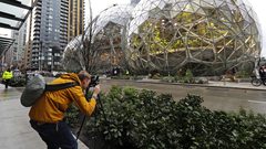 مقر الأمازون الجديد غابة ممطرة وسط 3 قباب في سياتل