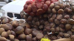 ما لا تعرفه عن فاكهة الشتاء "الكستناء" (فيديو)