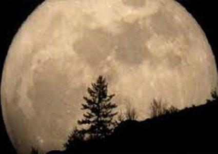 شاهد.. الصور الأولى للقمر الأزرق العملاق الدموي