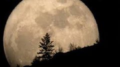 شاهد.. الصور الأولى للقمر الأزرق العملاق الدموي