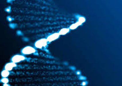 أداة لرسم الجينيوم البشري