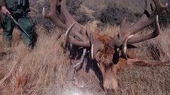 غموض يحيط بوفاة صياد قتل كل ما يمكن اصطياده